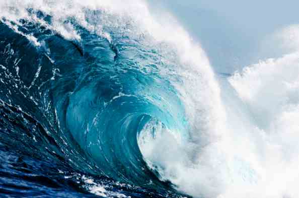 The Wave of Turnover Crisis – What you can do