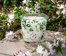 Load image into Gallery viewer, Nest Indian Jasmine Decorative 3-Wick Candle