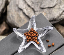 Load image into Gallery viewer, Simon Pearce Starfish Dish