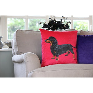 Sausage Dog Velvet Pillow