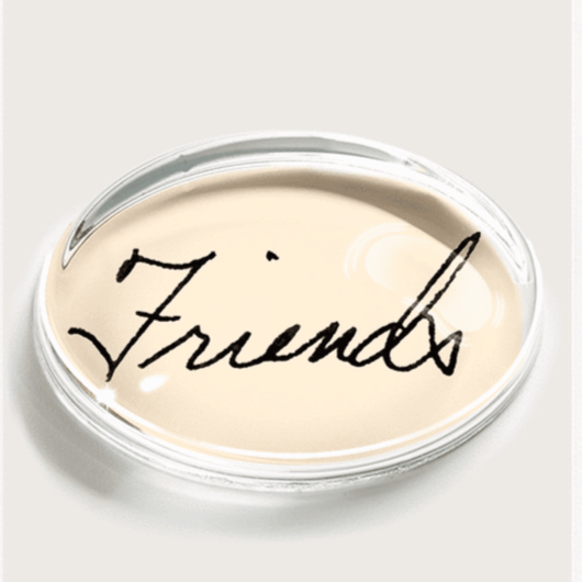 Friends Script Image Crystal Oval Paperweight