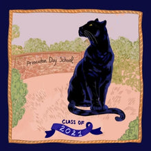 Load image into Gallery viewer, Daria DiCieli Princeton Day School Pillow
