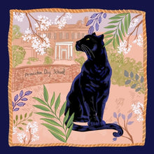 Load image into Gallery viewer, Daria DiCieli Princeton Day School Pillow