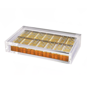 Lucite Gold Domino Set